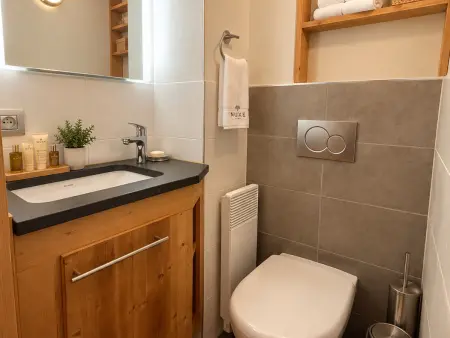 Appartement 42 m² avec balcon et vue montagne à Méribel : photo 11