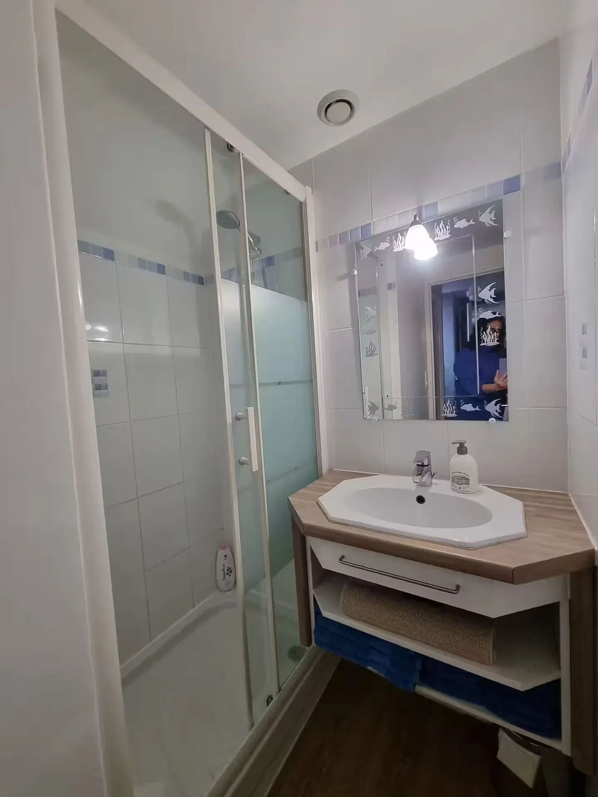 Maison 7 chambres avec piscine privée près du Mont-Saint-Michel - Photo 87