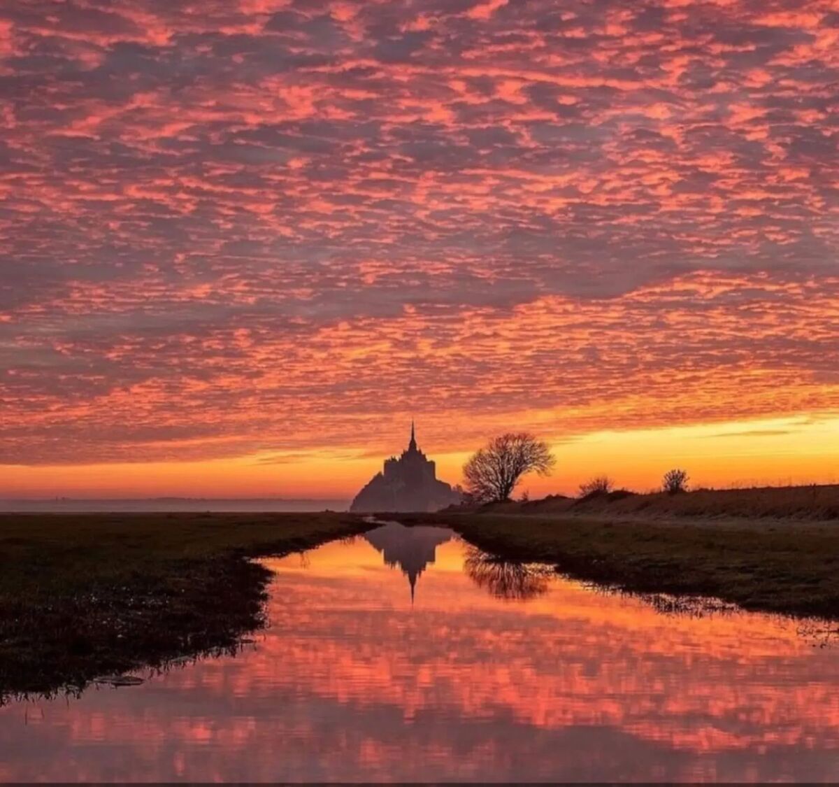 Maison familiale vue Mont-Saint-Michel, Huisnes-sur-Mer - Photo 36