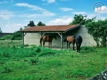 Gîte avec animaux acceptés, parking sécurisé - 6 pers. : photo 13
