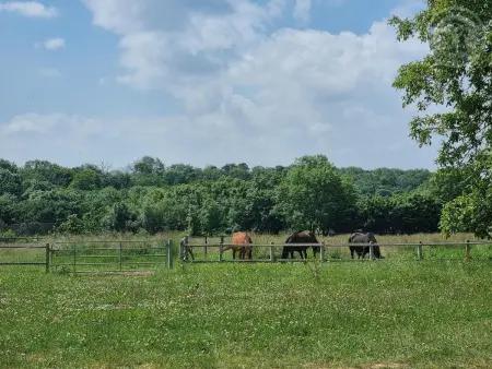Gîte avec animaux acceptés, parking sécurisé - 6 pers. : photo 14