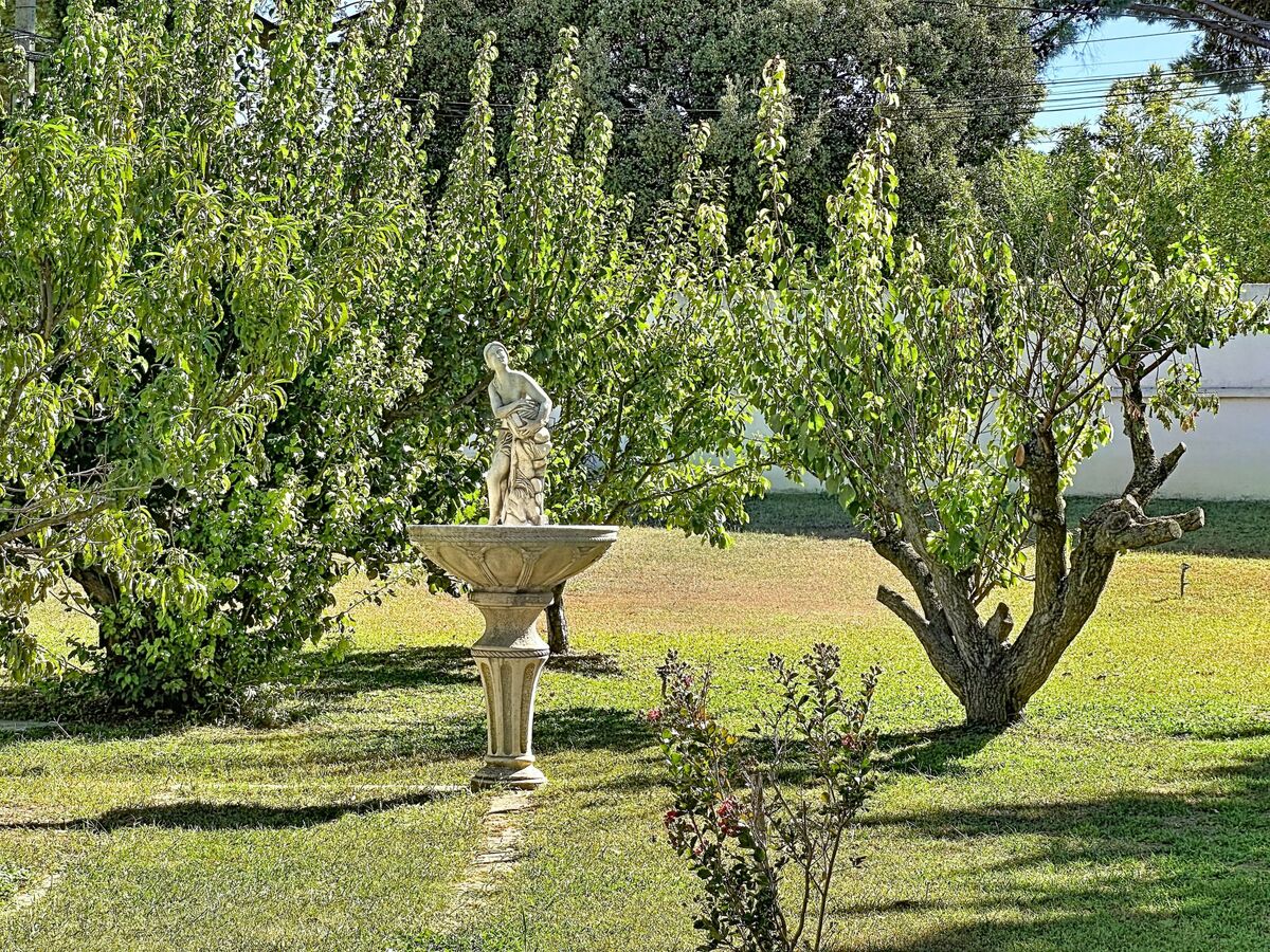 L'Ombre du Figuier - Maison 6 chambres piscine - Photo 8