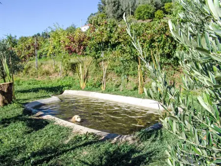 Casa Amadeu, gîte 4 personnes dans ancienne ferme rénovée : photo 4