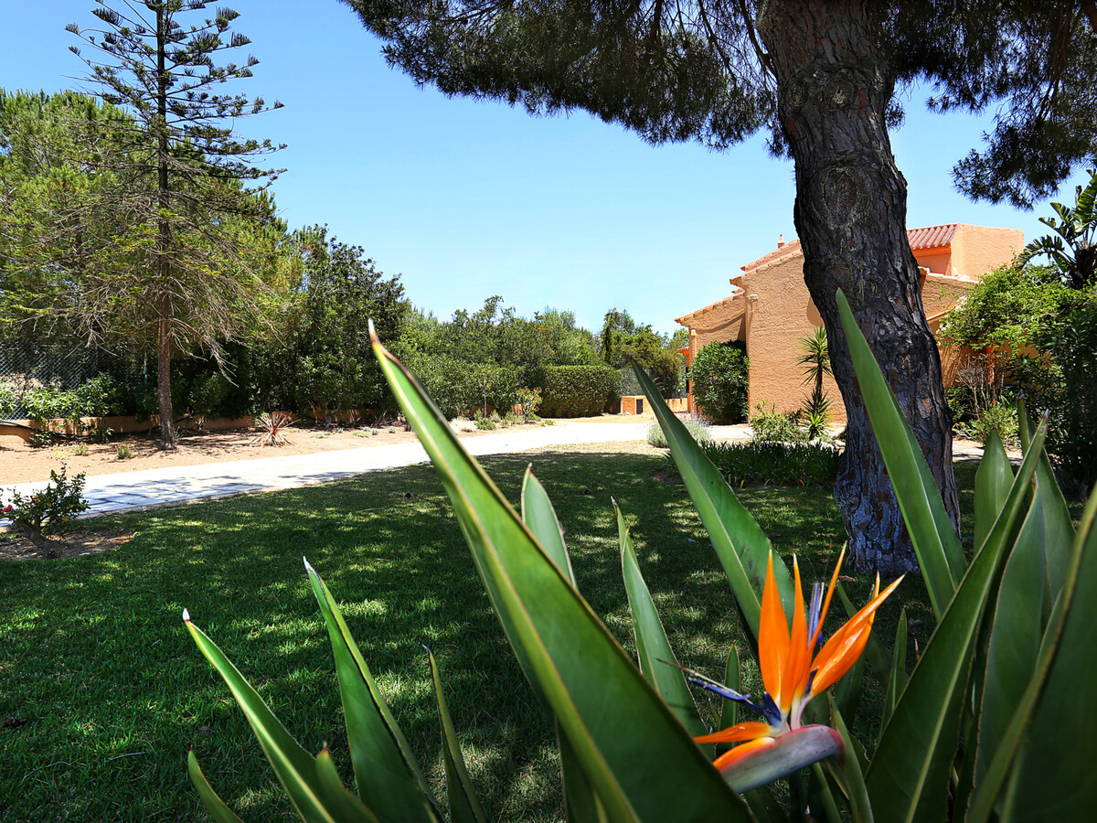 Casa Monte Novo, villa 4 chambres avec piscine à Carvoeiro - Photo 20