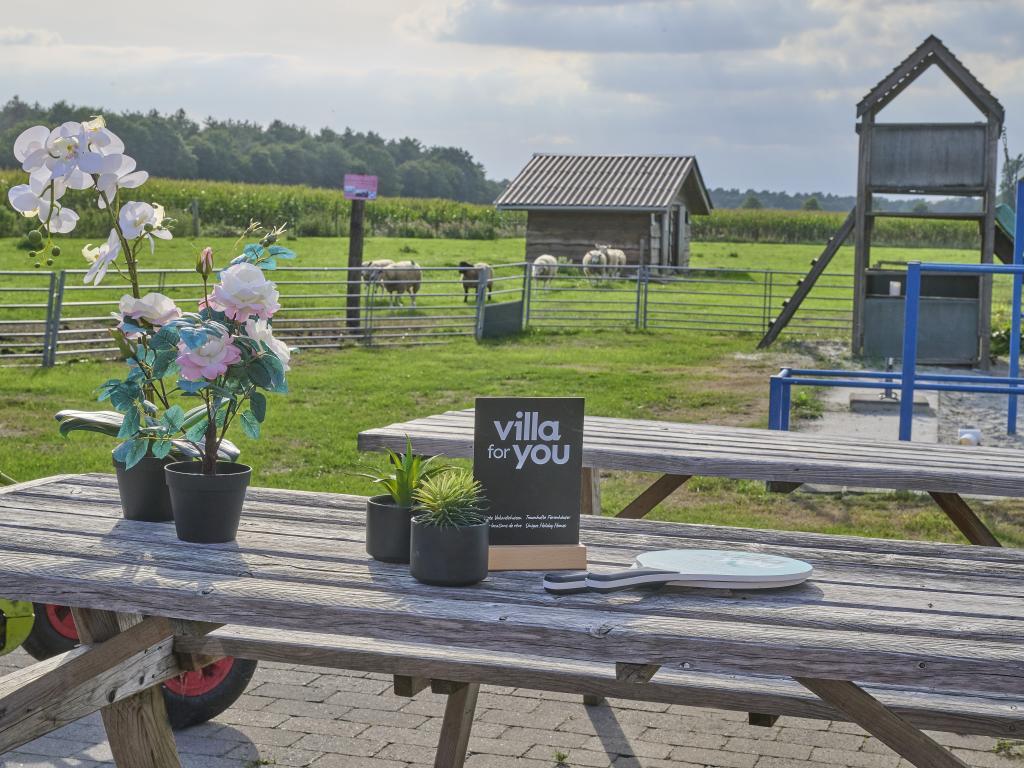In de Wollekjes : maison familiale à Merksplas - Photo 2