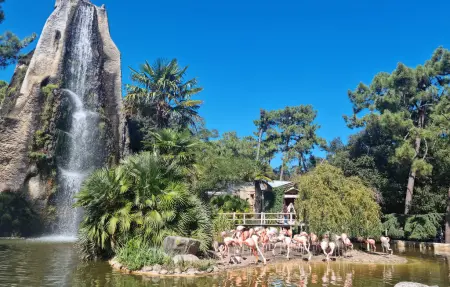 Maison 6 personnes avec piscine privée à Saint-Palais-sur-Mer : photo 31