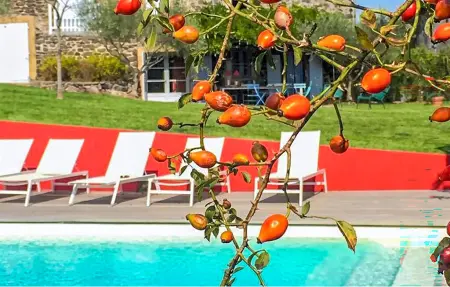 Maison 12 pers. avec piscine chauffée à Saint-Lager-Bressac : photo 12