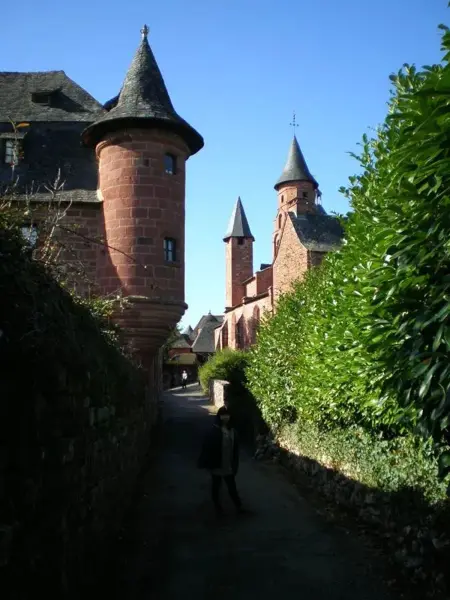 Gîte les Escures, maison 4 étoiles à Branceilles, 4 personnes : photo 27