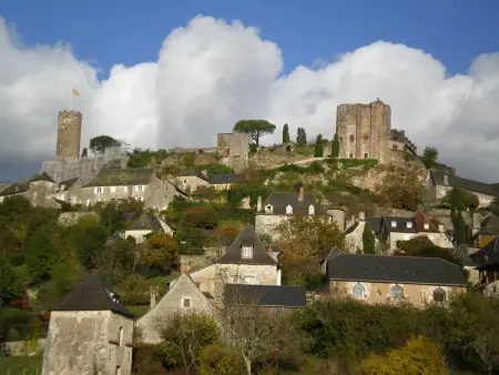 Gîte les Escures, maison 4 étoiles à Branceilles, 4 personnes : photo 28