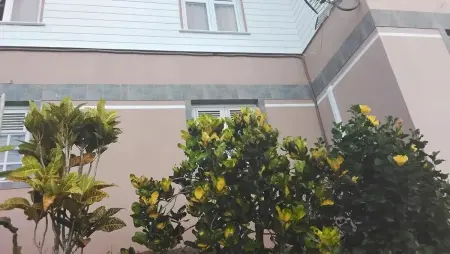 Maison 3 chambres avec vue mer et terrasse à Sainte-Luce, Martinique : photo 8