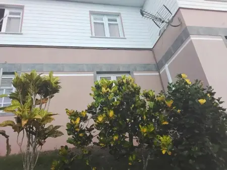 Maison 3 chambres avec vue mer et terrasse à Sainte-Luce, Martinique : photo 9
