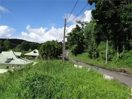 Maison 3 chambres avec vue mer et terrasse à Sainte-Luce, Martinique : photo 10