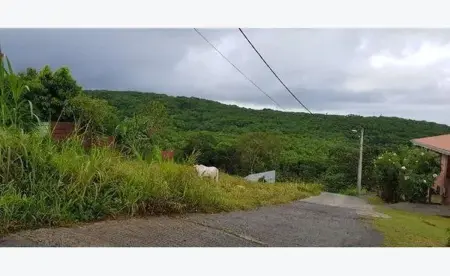 Maison 3 chambres avec vue mer et terrasse à Sainte-Luce, Martinique : photo 12