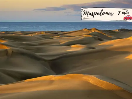 Bungalow Playa Flor 77 - Maspalomas, centre calme : photo 41