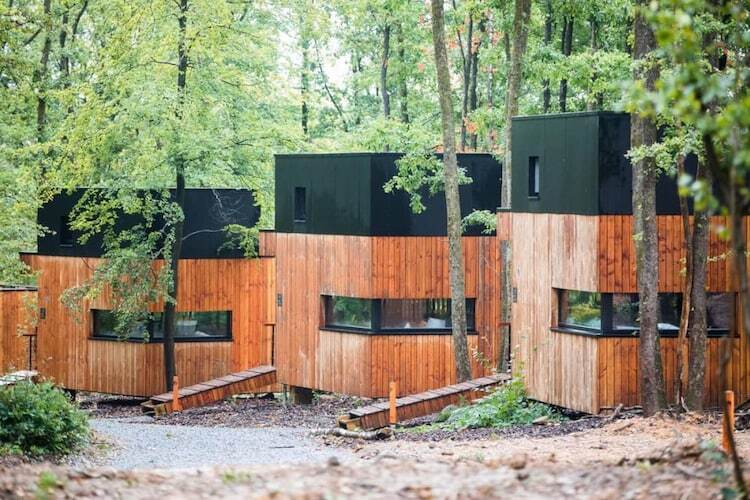 Forest Cube RELAX – Maison écologique avec sauna - Photo 14