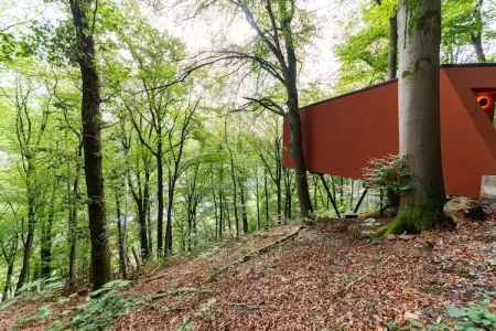 Cabane Hortensia 7, Le Refuge Fleurissant – Cabane Hortensia : photo 7