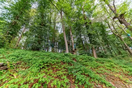 Cabane Hortensia 7, Le Refuge Fleurissant – Cabane Hortensia : photo 8