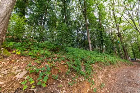 Cabane Hortensia 7, Le Refuge Fleurissant – Cabane Hortensia : photo 18