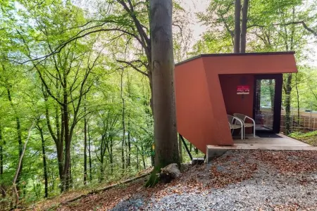Séneçon des Bois 8, maison 2 pers. La Roche : photo 7