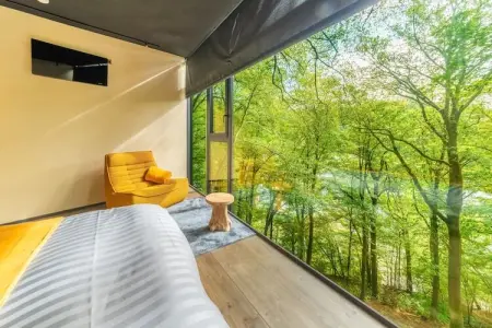Séneçon des Bois 8, maison 2 pers. La Roche : photo 14
