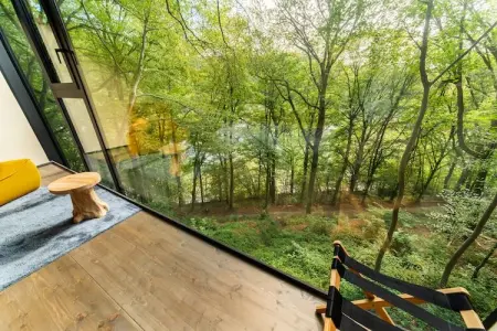 Séneçon des Bois 8, maison 2 pers. La Roche : photo 17