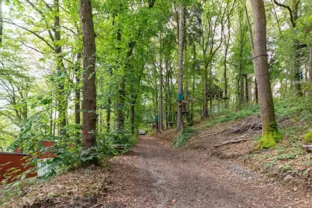 Séneçon des Bois 8, maison 2 pers. La Roche : photo 18