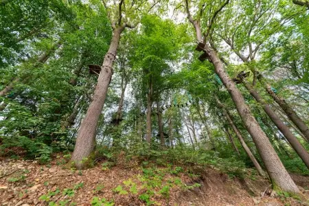 Séneçon des Bois 8, maison 2 pers. La Roche : photo 19