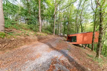 Séneçon des Bois 8, maison 2 pers. La Roche : photo 21