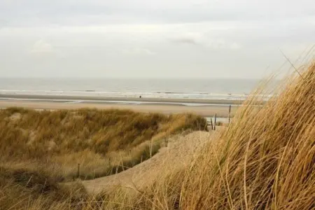 Maison de pêcheur 100 m² avec jardin à Bredene : photo 19