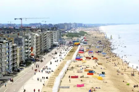 Maison Coxy-Beach face à la mer à Koksijde : photo 14