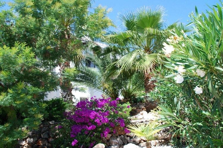 Casa Pedro - Maison 4 pers. avec piscine privée - Photo 3