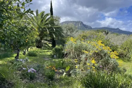 Casita avec vue sur la mer à Sóller : photo 11