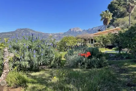 Casita avec vue sur la mer à Sóller : photo 12