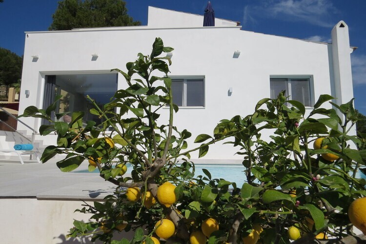 Villa moderne 3 chambres avec piscine à Santa Ponsa - Photo 3