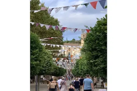 Maison 6 chambres avec piscine et vue mer à Capdepera : photo 24