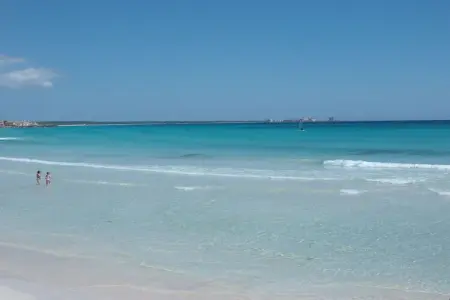 Maison El Paraiso près plage Es Trenc, piscine et jardin : photo 15