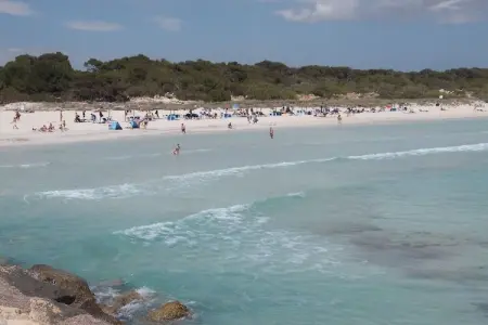 Maison El Paraiso près plage Es Trenc, piscine et jardin : photo 16
