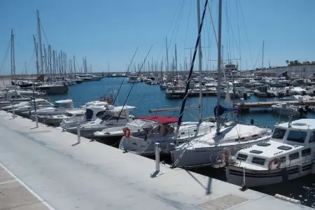 Maison El Paraiso près plage Es Trenc, piscine et jardin : photo 17
