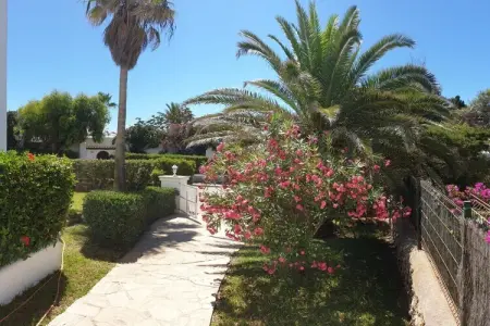 Maison 2 chambres vue mer à 80m de la plage : photo 5