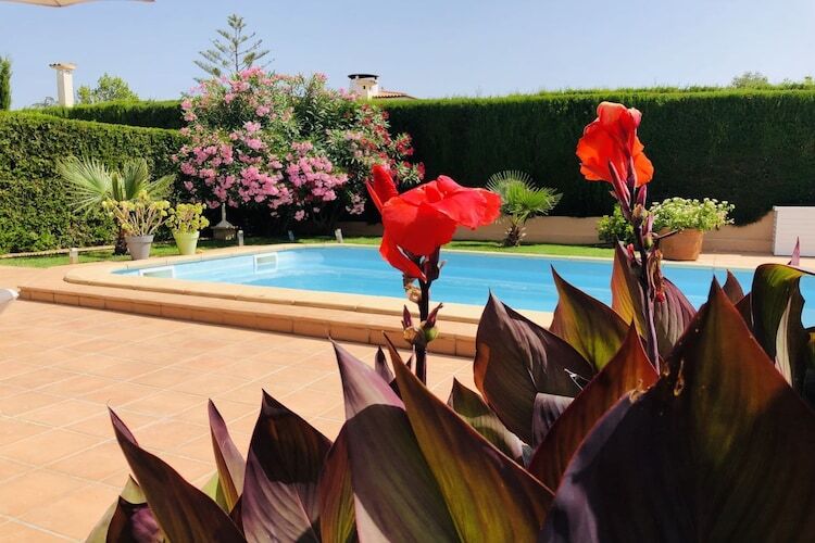 Maison 4 pers. avec piscine privée à Porto Cristo - Photo 1