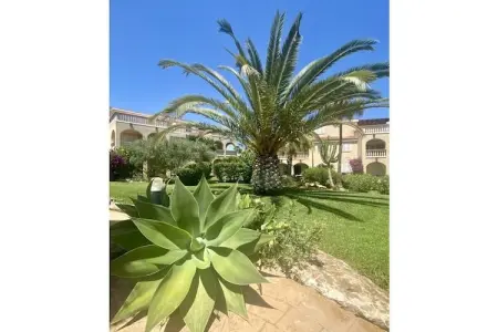 Casa Dido, appartement jardin en bord de mer à Cala Anguila : photo 7