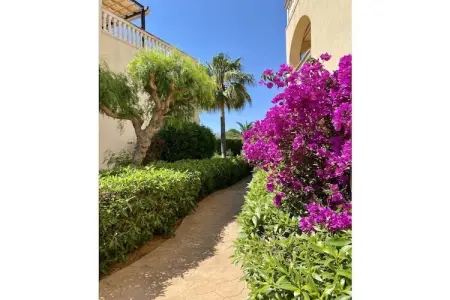 Casa Dido, appartement jardin en bord de mer à Cala Anguila : photo 8