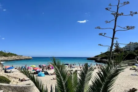 Casa Dido, appartement jardin en bord de mer à Cala Anguila : photo 27