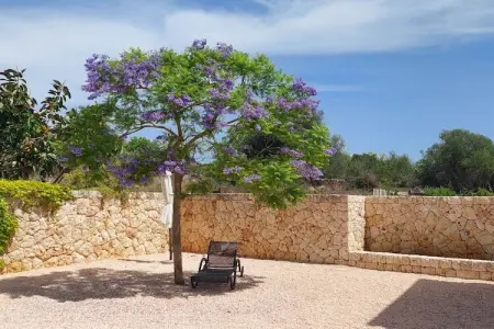 Maison 5 chambres avec piscine 6x12m à S'Alqueria Blanca : photo 12