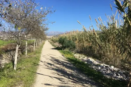 Maison Torrox-Costa : vue mer, terrasse et piscine : photo 14