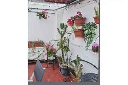 Studio avec terrasse ensoleillée à Las Palmas : photo 16