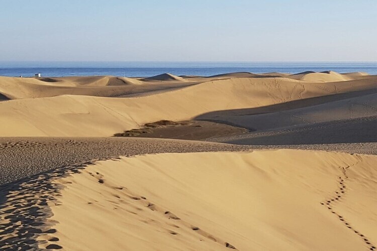 Maison avec vue sur les dunes de Maspalomas - Photo 36