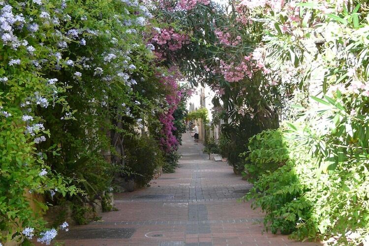 Appartement provençal 2 pièces avec jardin à Antibes - Photo 9