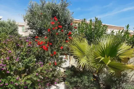 Maison 4 personnes avec piscine commune à Gruissan : photo 6