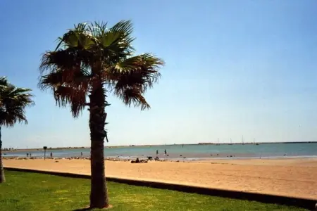 Villa Olivier, maison provençale les pieds dans l'eau à Gruissan : photo 17
